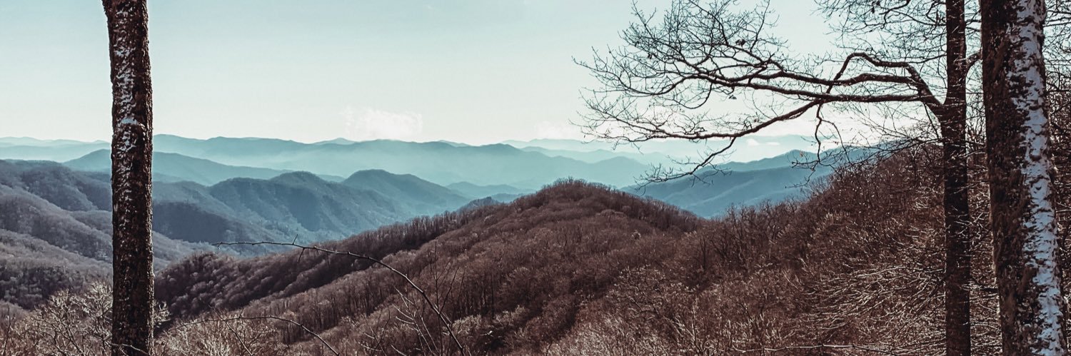 AshleyCarter53's profile banner image
