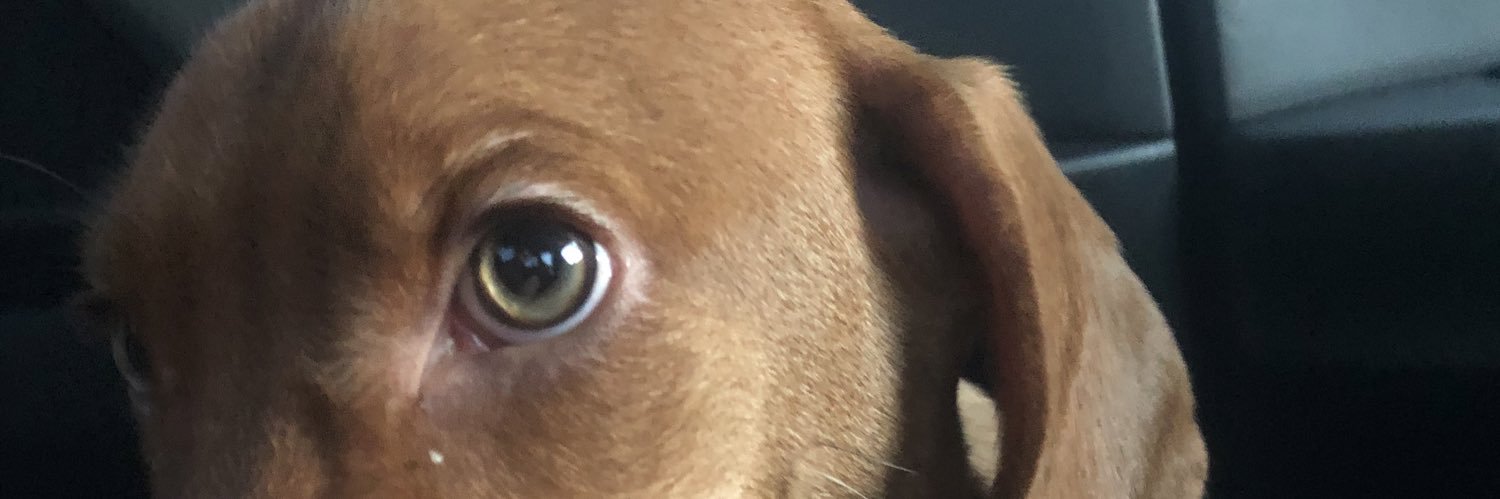 Kyle_Mackec's profile banner image