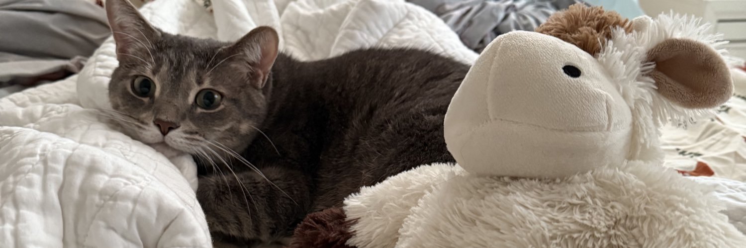 tymbxo's profile banner image