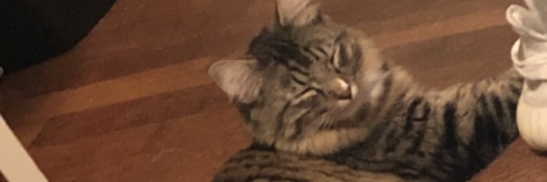JustinAdam12's profile banner image