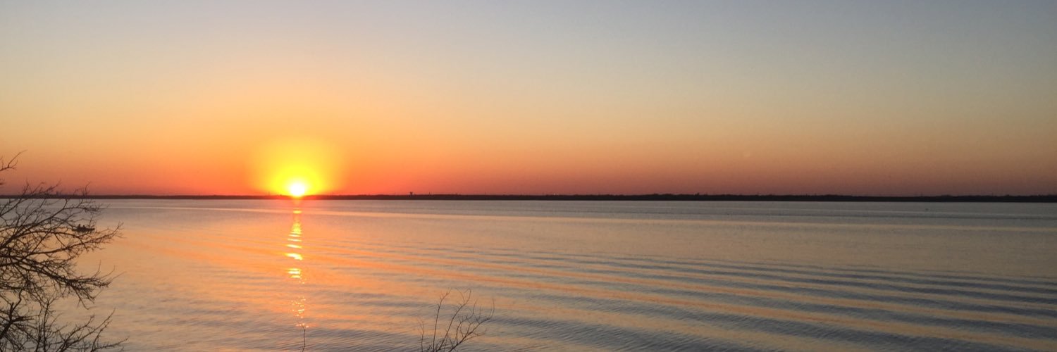 Alliewilcox89's profile banner image
