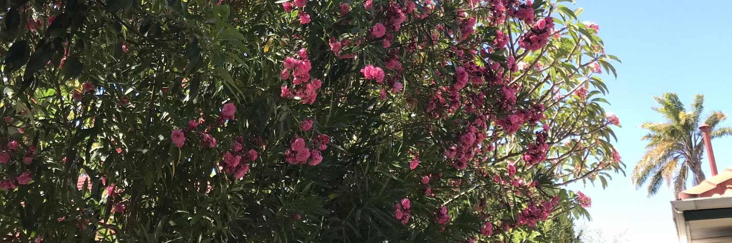 demsshi's profile banner image