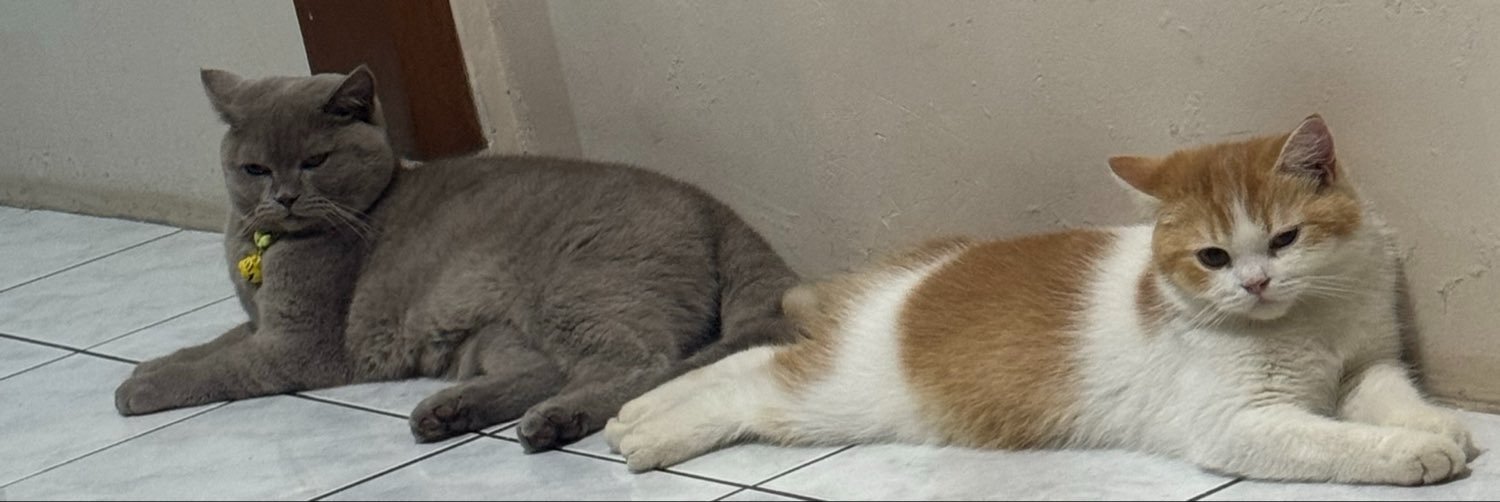 slverqueen_'s profile banner image