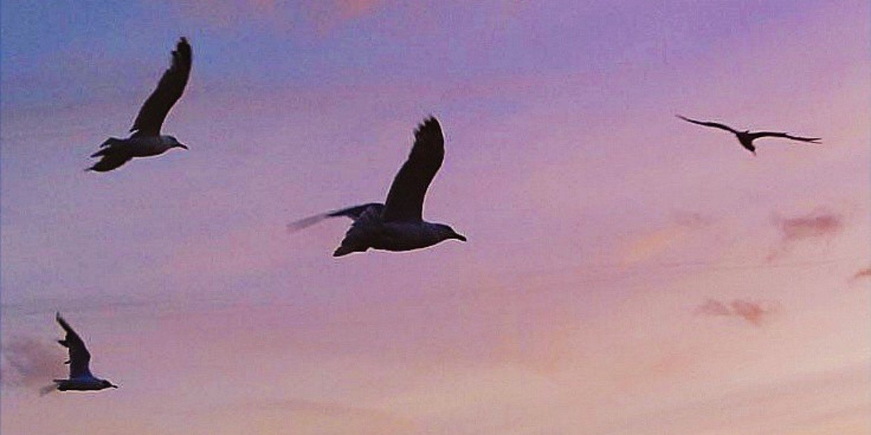 debden36's profile banner image