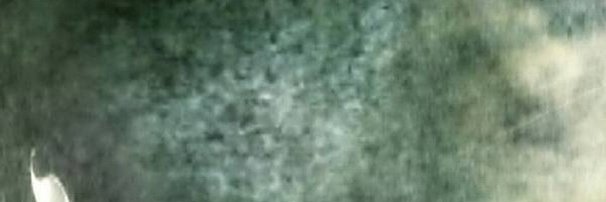 DimonBush1's profile banner image