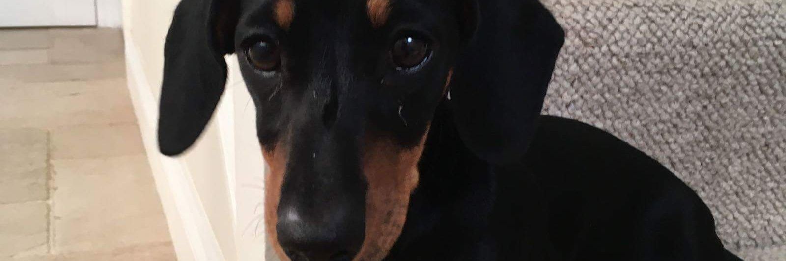 Lewis_TheClapp's profile banner image