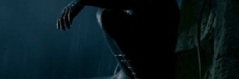 scheherar's profile banner image