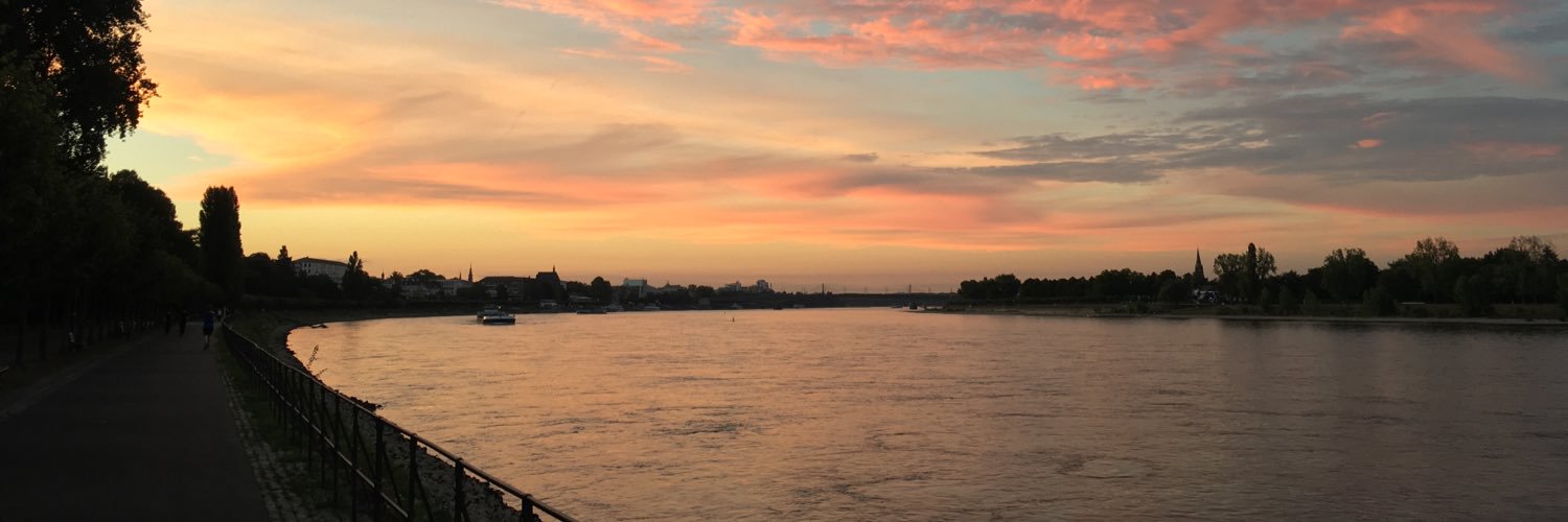 Sofia Diogo Mateus banner