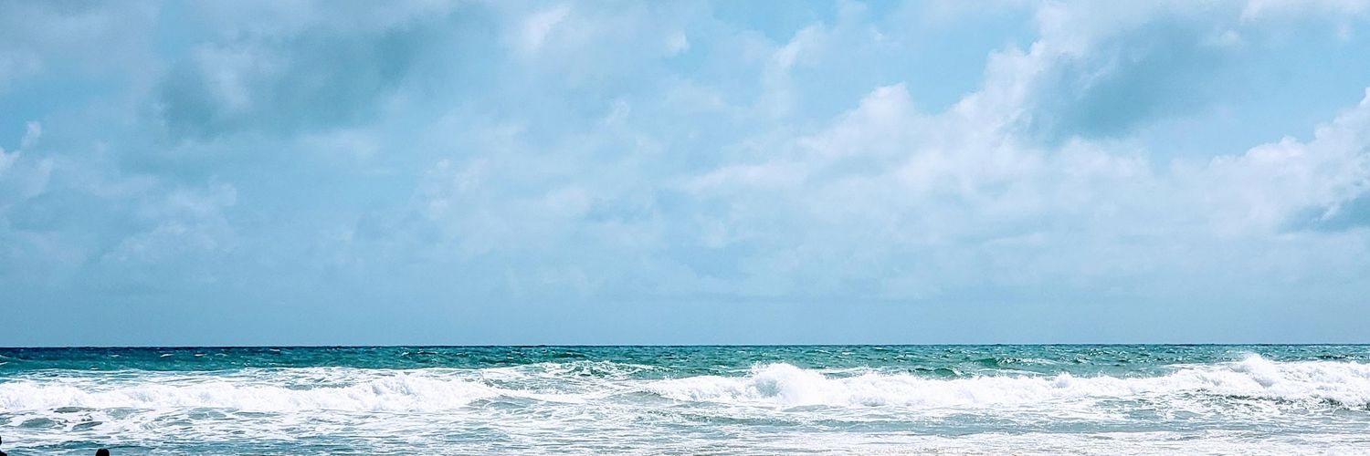 ritacqueiroz's profile banner image