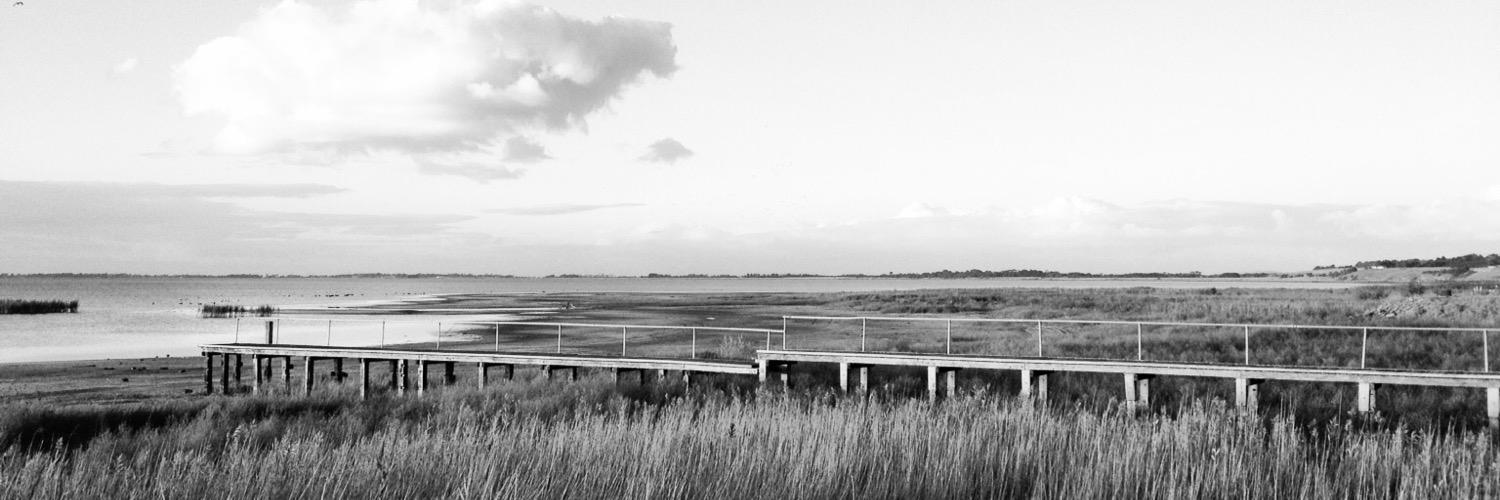 Elliott_Kitcher's profile banner image