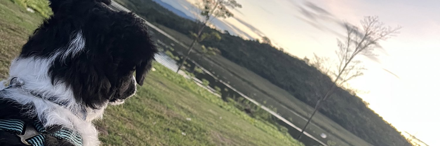 MishelRm's profile banner image