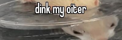 tuckerlclark's profile banner image