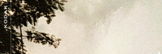 fncytail's profile banner image