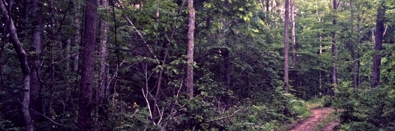 jholbomb's profile banner image