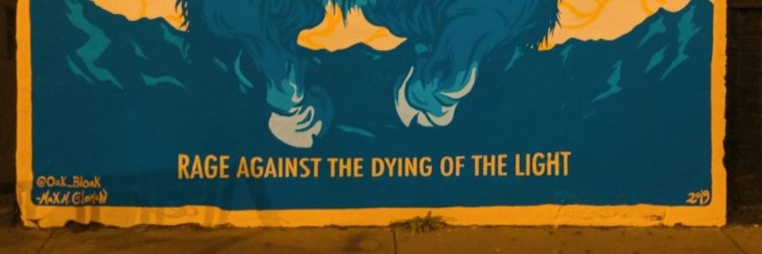 thisisnotclever's profile banner image