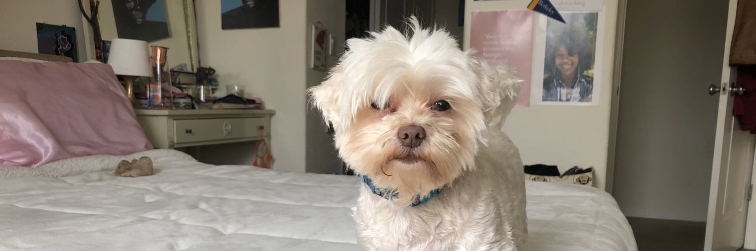 Dreadlock Barbie banner