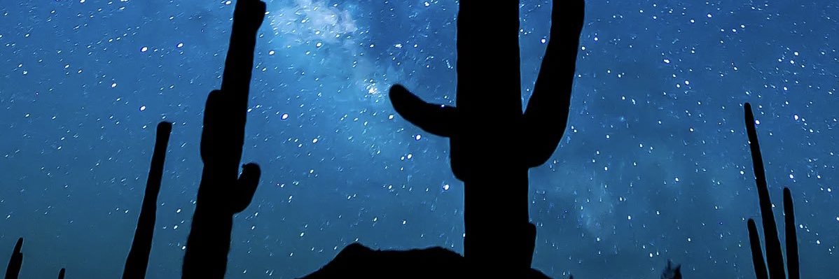 tunanocrust_'s profile banner image