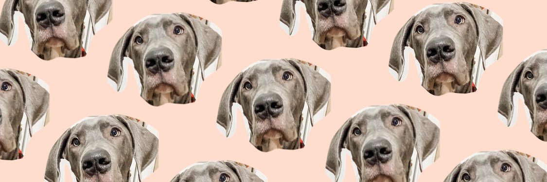 BrookeMiller33's profile banner image