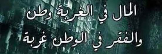 أمين الفرداوي banner