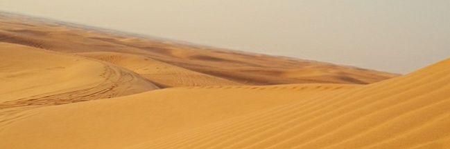 f_sh_sh's profile banner image