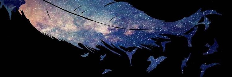 acilinut's profile banner image