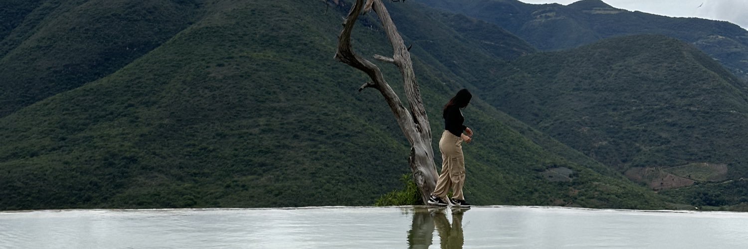 SabinePasos's profile banner image