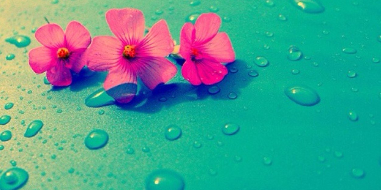 kelann_b's profile banner image