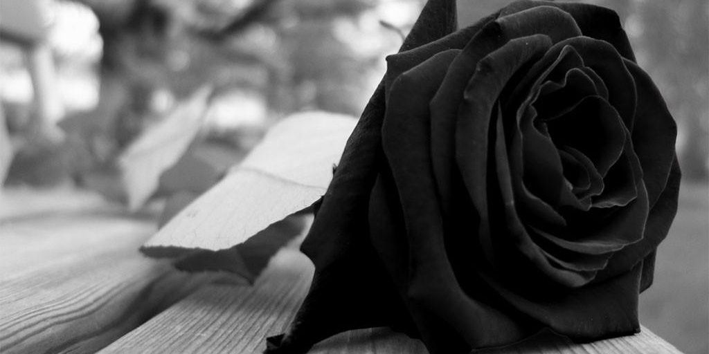 dheaamelia6's profile banner image