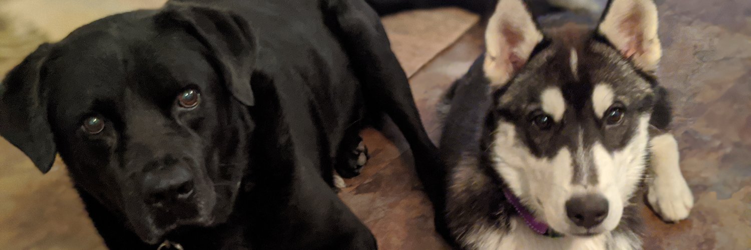 Kevin S Atkinson 🏔️🌐 banner