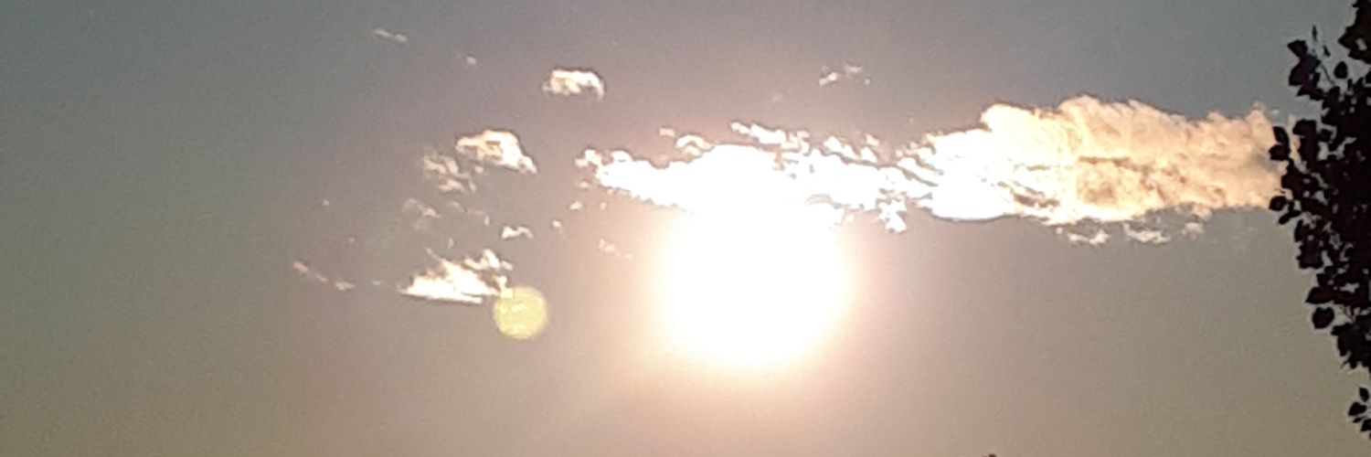 SteveHarquail's profile banner image