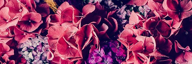 scarstairs24's profile banner image