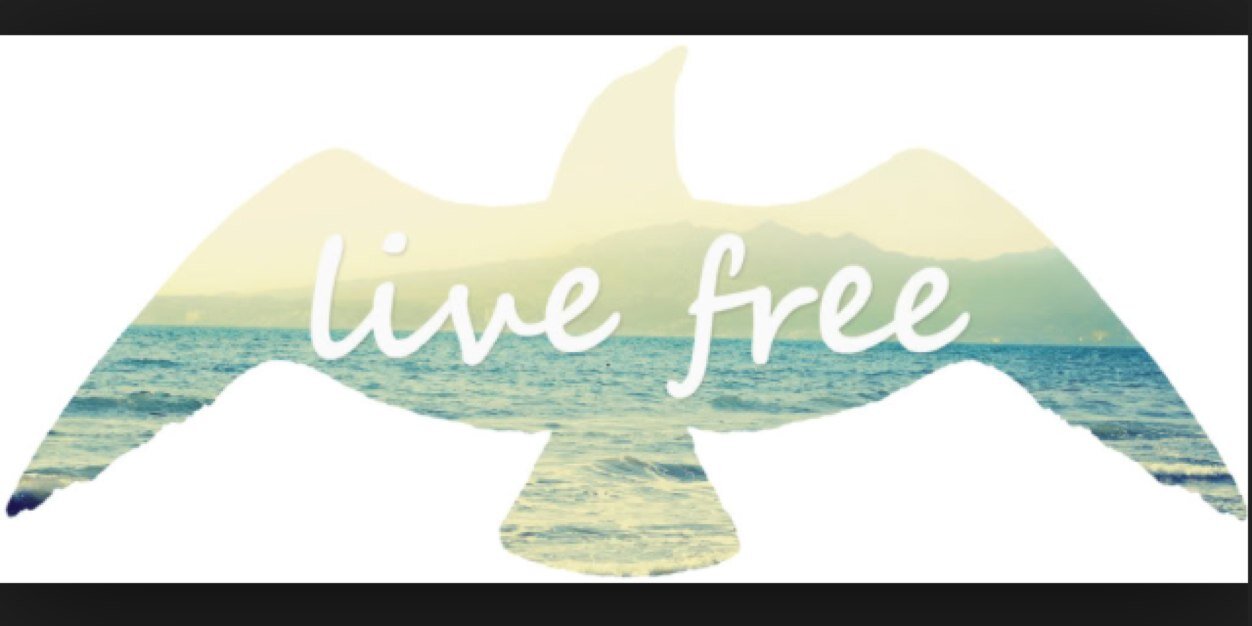 lani_mcgee's profile banner image