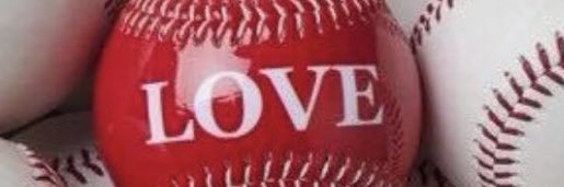 Mary Jane Snedeker banner