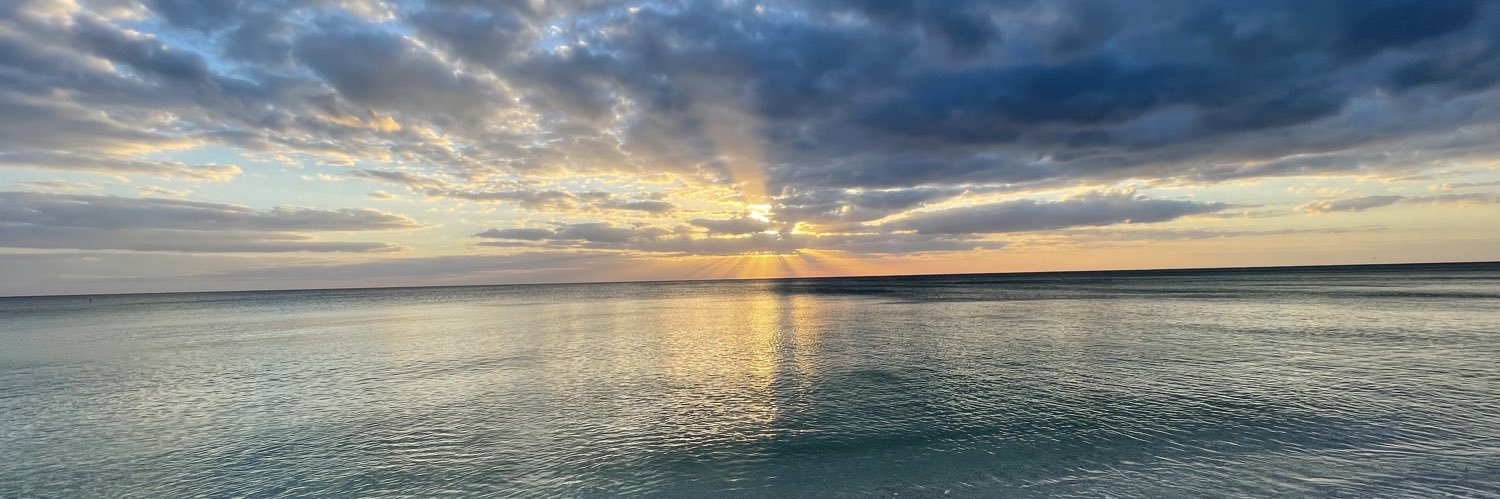 gracembergoodin's profile banner image