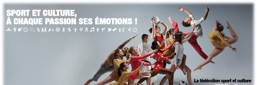 FSCF CD Loire banner