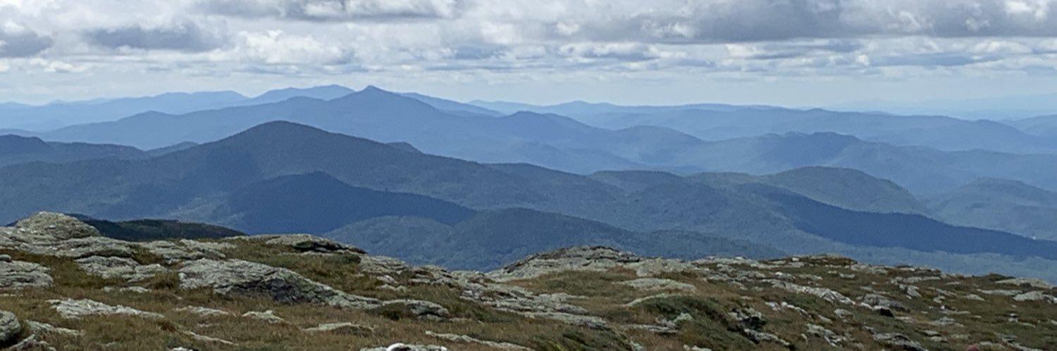 CReevesNP's profile banner image