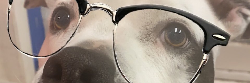 Dawn_Approaches's profile banner image