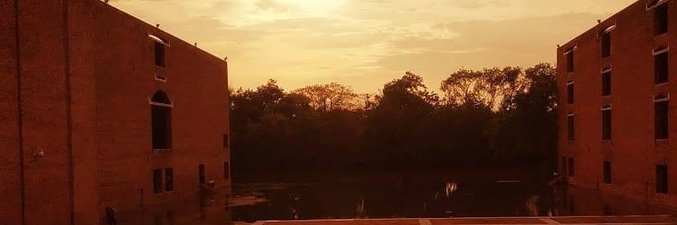 ashuzarora's profile banner image