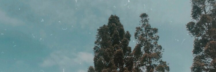 NadhaFebia's profile banner image