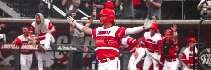 Reincarnated Jungle Tiger banner