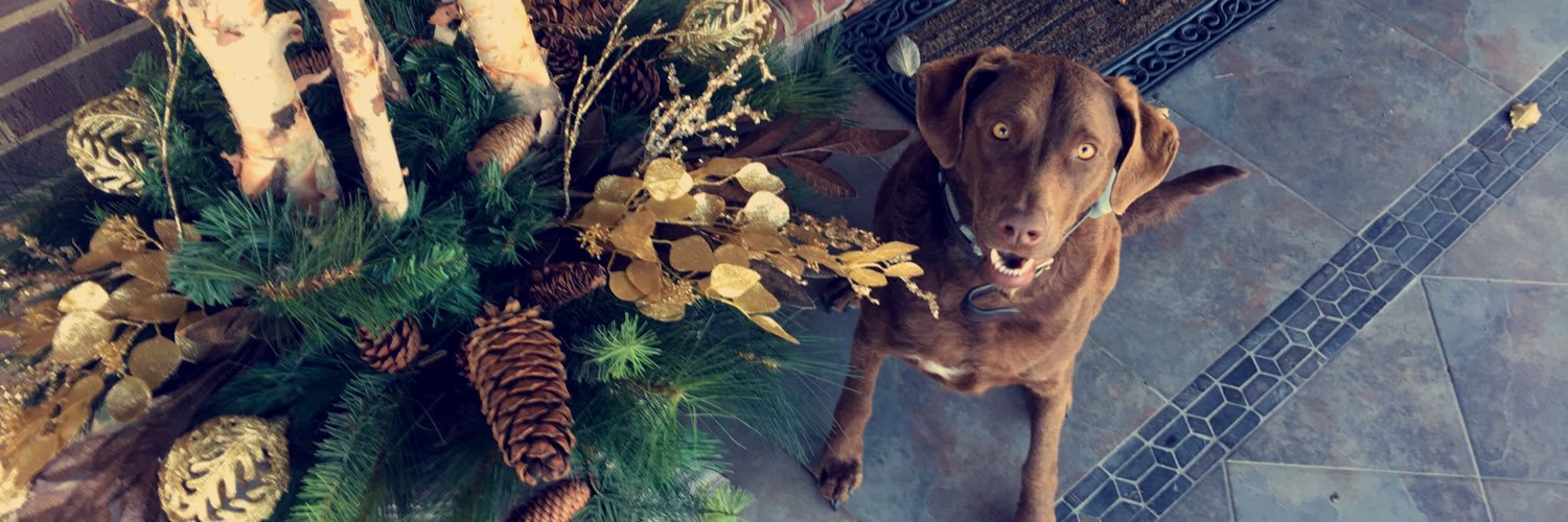 Taylorhaynes18's profile banner image