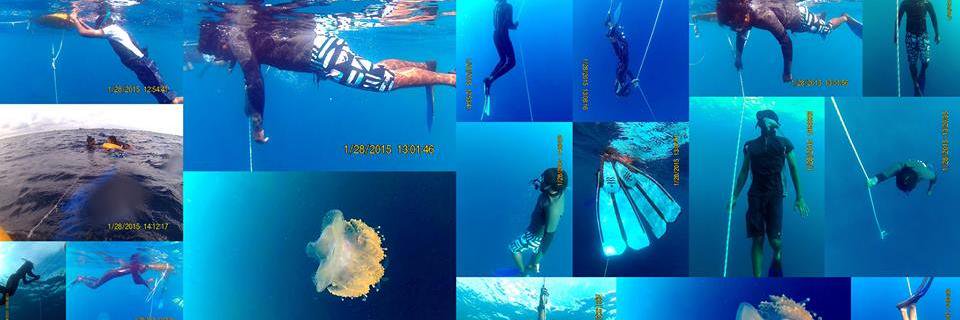 Freedive Maldives banner