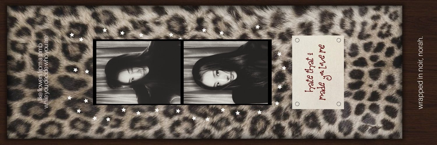 nor banner