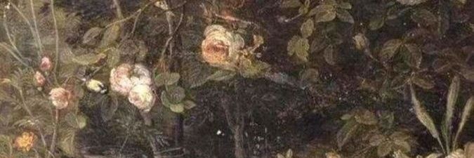 lahdepaa's profile banner image