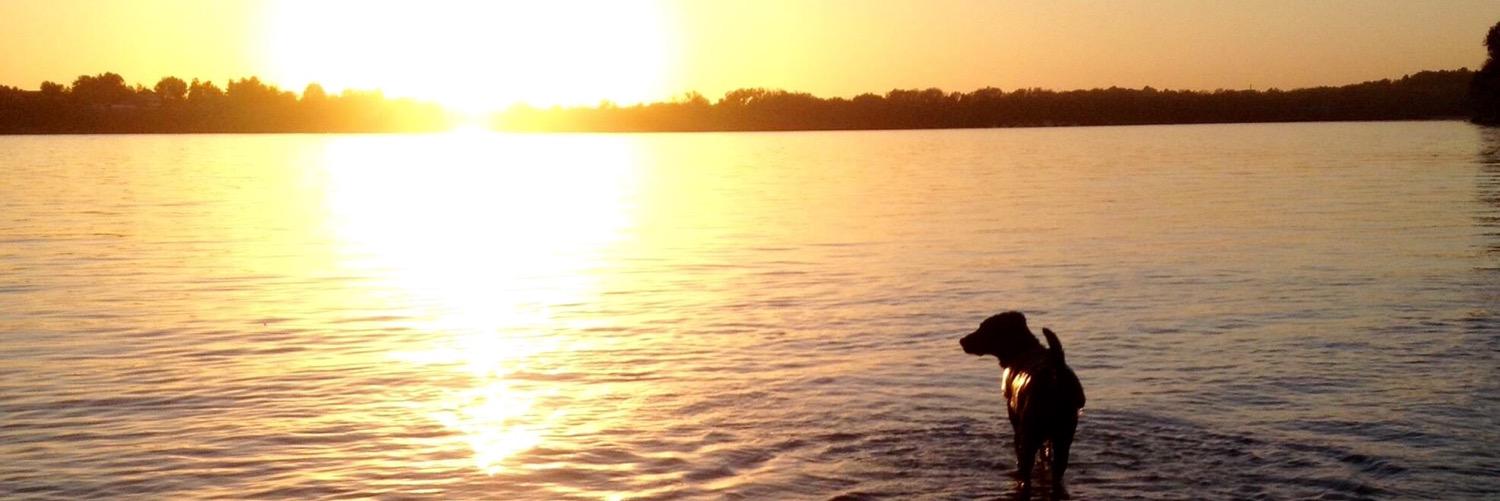 CassidyP6's profile banner image