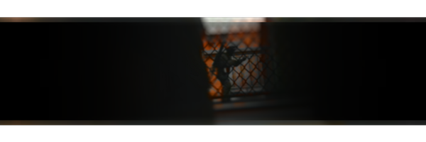 thevodkauser Profile Banner