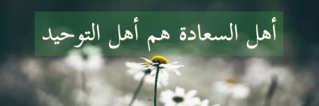 mrmr_00's profile banner image