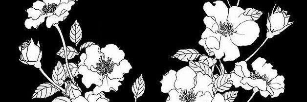 funtonightt's profile banner image