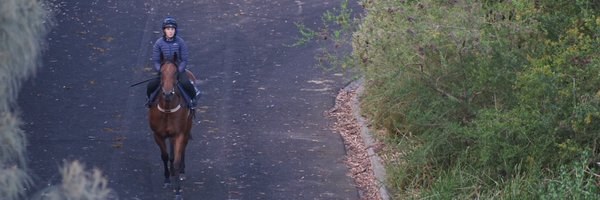 StephHateley Profile Banner