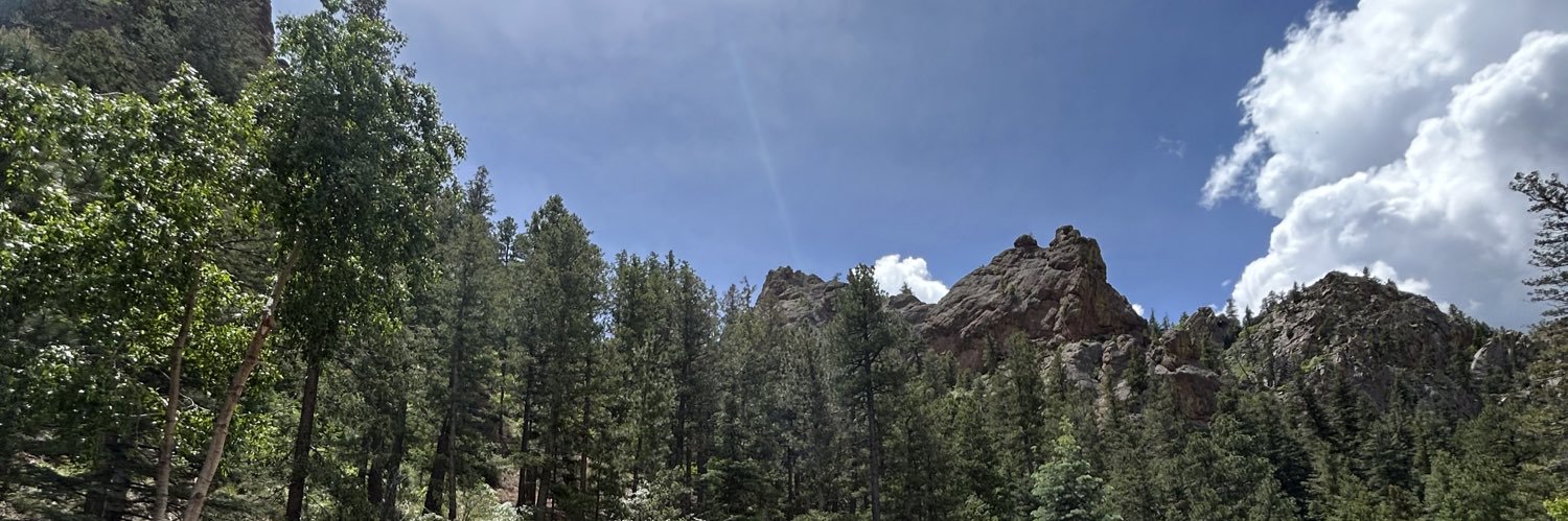 nicolebarton5's profile banner image